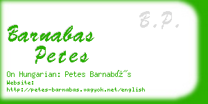 barnabas petes business card